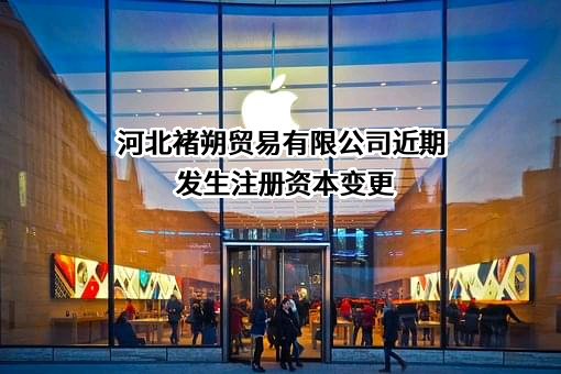 河北褚朔贸易有限公司