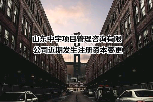 山东中宇项目管理咨询有限公司