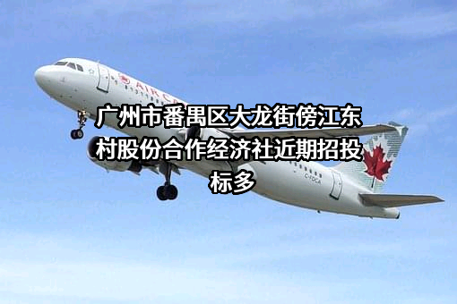广州市番禺区大龙街傍江东村股份合作经济社