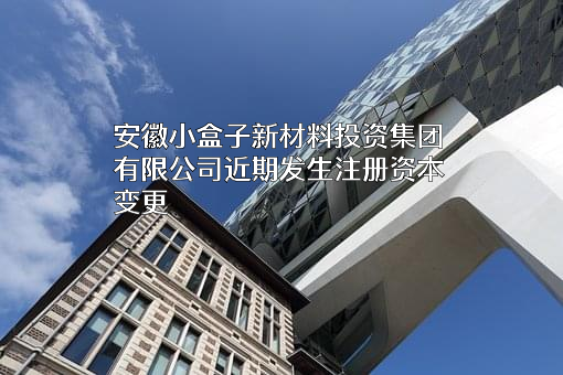 安徽小盒子新材料投资集团有限公司