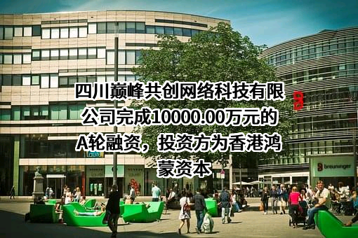 四川巅峰共创网络科技有限公司