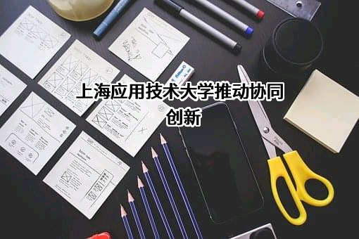 上海应用技术大学