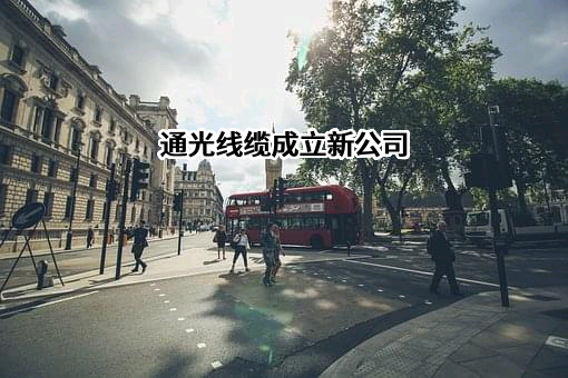 江苏通光电子线缆股份有限公司