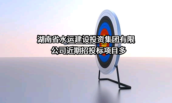 湖南省水运建设投资集团有限公司