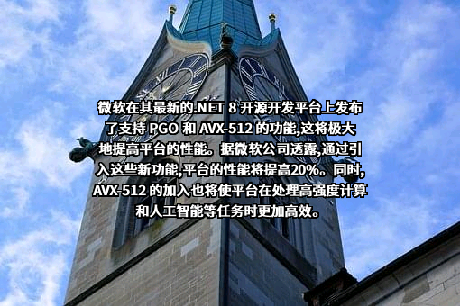 微软（中国）有限公司