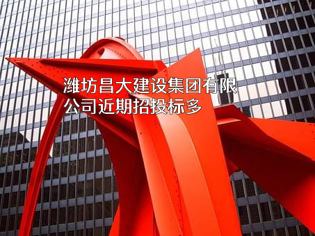 潍坊昌大建设集团有限公司