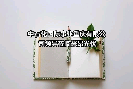中石化国际事业重庆有限公司