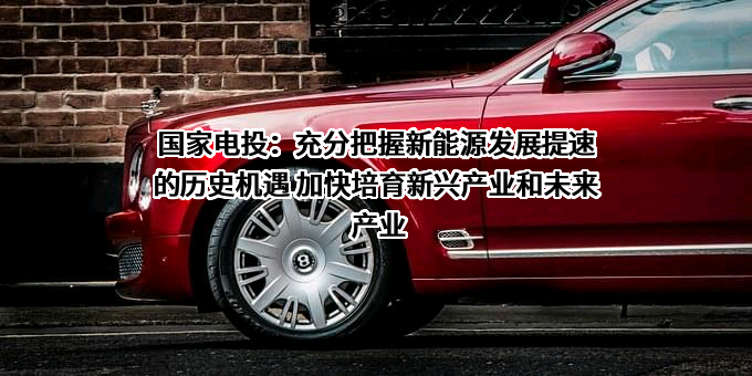 国家电力投资集团有限公司