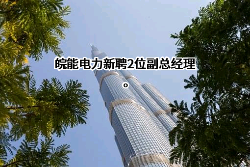 安徽省皖能股份有限公司