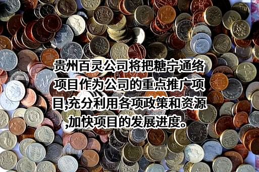 贵州百灵企业集团制药股份有限公司