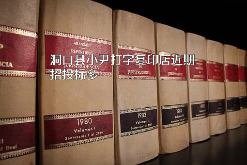 洞口县小尹打字复印店近期招投标项目多