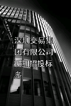 深圳交易集团有限公司