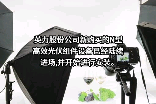 安徽英力电子科技股份有限公司