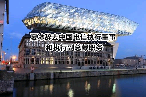 中国电信集团有限公司