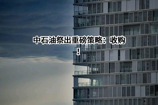 中国海洋石油集团有限公司