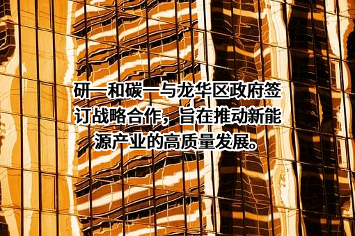 碳一新能源集团有限责任公司