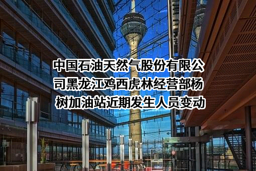 中国石油天然气股份有限公司黑龙江鸡西虎林经营部杨树加油站