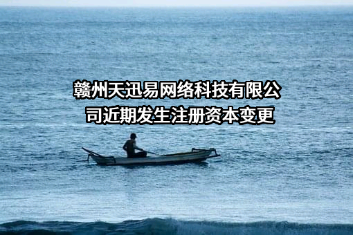 赣州天迅易网络科技有限公司