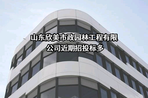 山东欣美市政园林工程有限公司