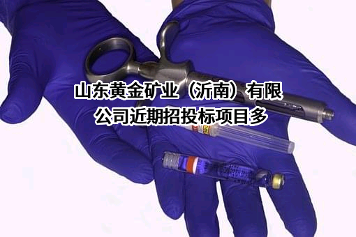 山东黄金矿业(沂南)有限公司