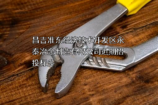 昌吉准东经济技术开发区永泰冶金制造有限公司