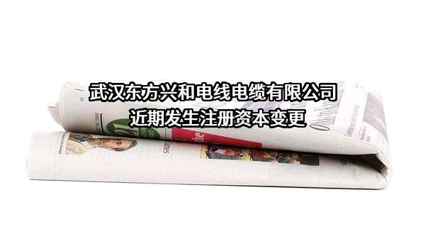 武汉东方兴和电线电缆有限公司