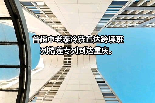 重庆国际物流集团有限公司
