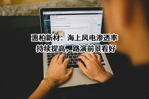 惠柏新材料科技（上海）股份有限公司