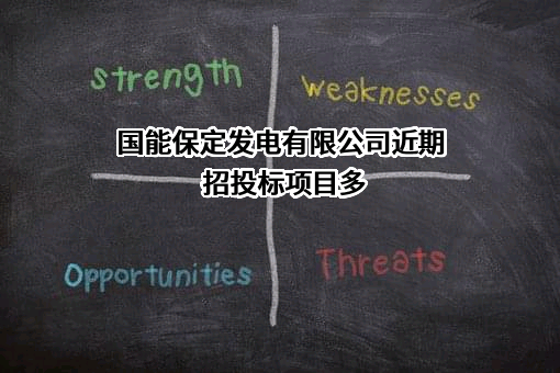 国能保定发电有限公司