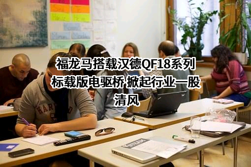 福龙马集团股份有限公司