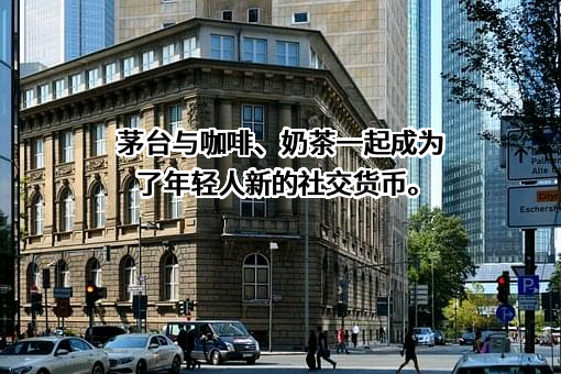 宜宾五粮液股份有限公司
