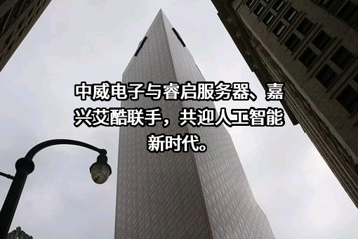 杭州中威电子股份有限公司