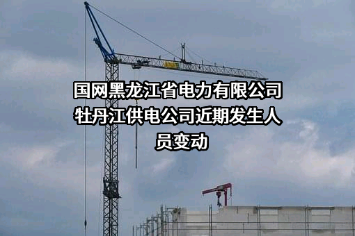 国网黑龙江省电力有限公司牡丹江供电公司