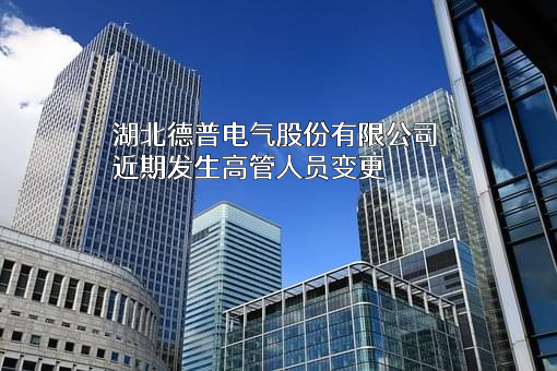 湖北德普电气股份有限公司