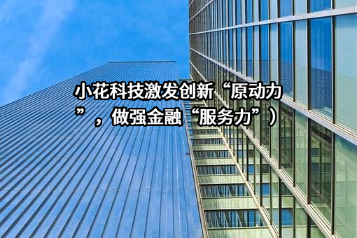小花网络科技（深圳）有限公司