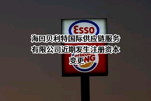海口贝利特国际供应链服务有限公司