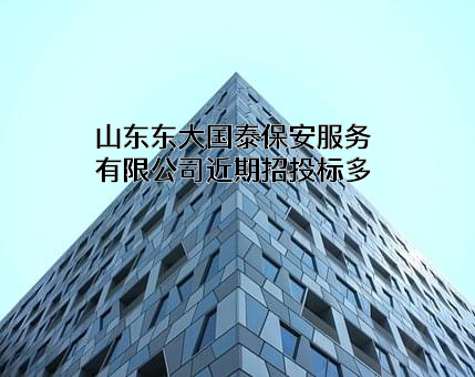 山东东大国泰保安服务有限公司