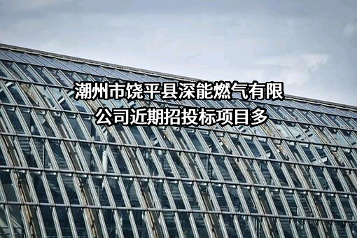 潮州市饶平县深能燃气有限公司