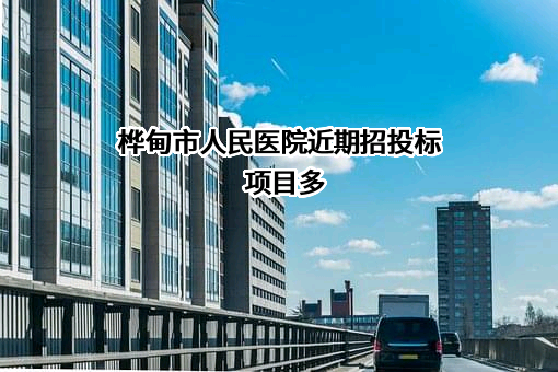 桦甸市人民医院近期招投标项目多