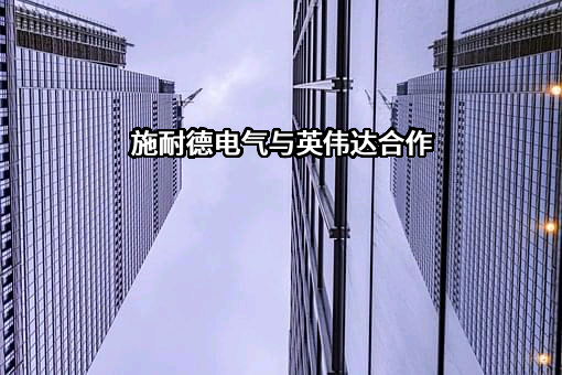 施耐德电气（中国）有限公司