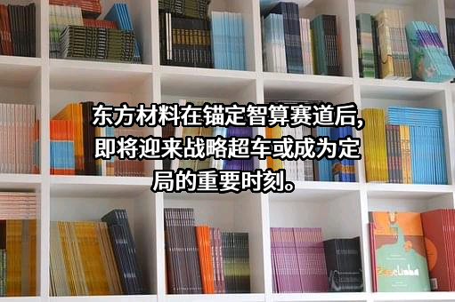 新东方新材料股份有限公司