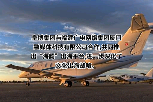 阜博集团有限公司