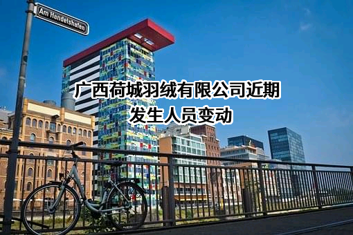 广西荷城羽绒有限公司