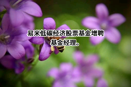 易米基金管理有限公司