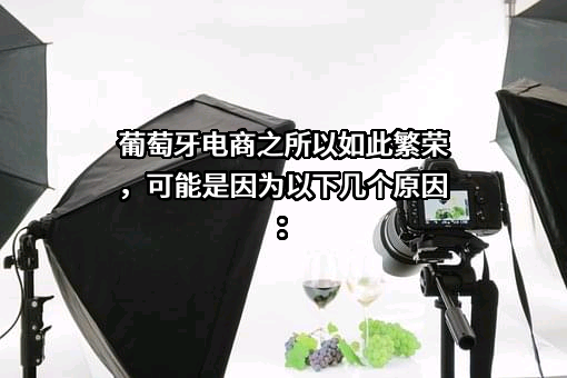 郑州顺友物流有限公司