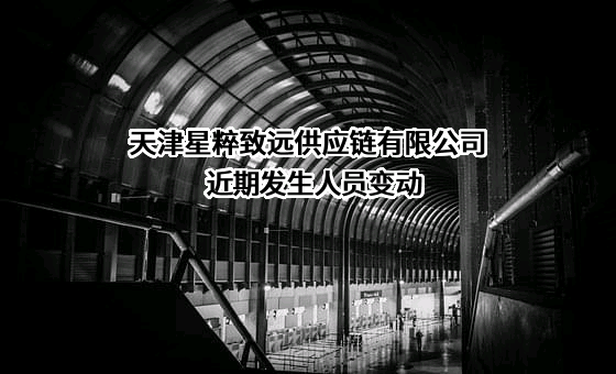 天津星粹致远供应链有限公司