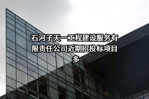 石河子天一工程建设服务有限责任公司近期招投标项目多