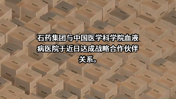 石药控股集团有限公司