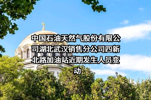 中国石油天然气股份有限公司湖北武汉销售分公司四新北路加油站