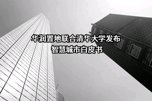 华润置地有限责任公司